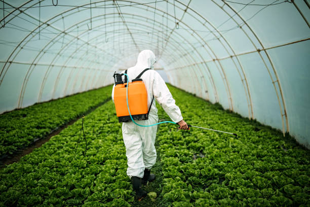 Best Best Pest Control Companies  in Finneytown, OH
