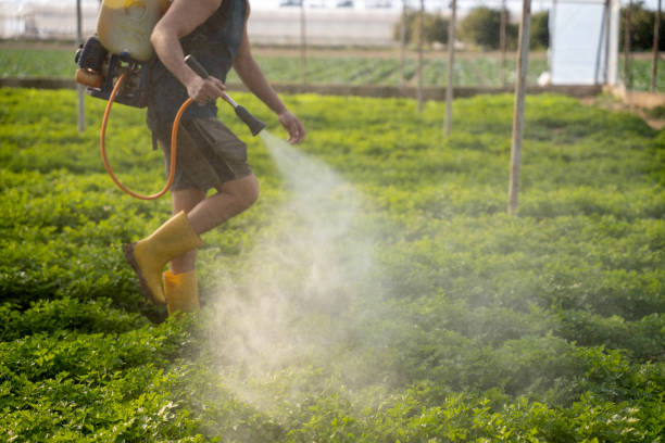Best Wasp Removal Services  in Finneytown, OH