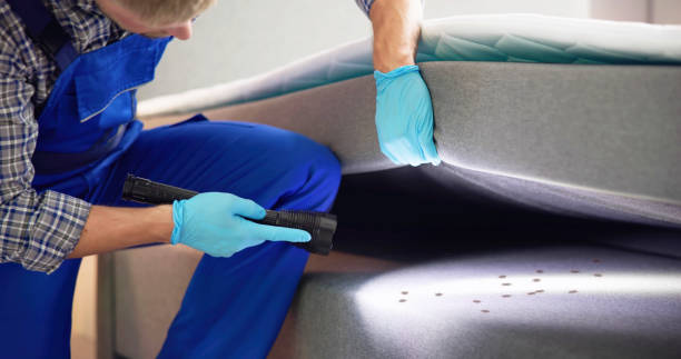 Best Termite Control Services  in Finneytown, OH