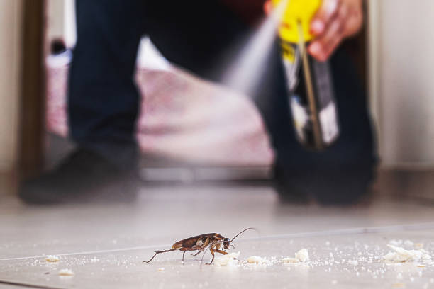 Professional Pest Control in Finneytown, OH