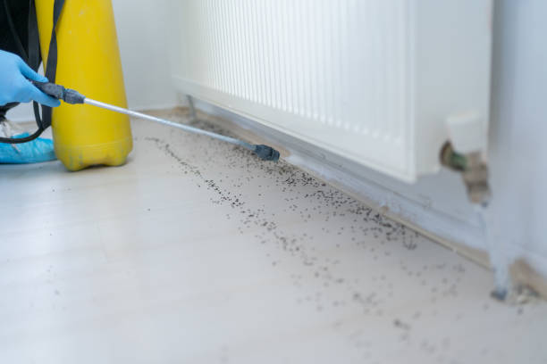 Best Commercial Pest Control Services  in Finneytown, OH