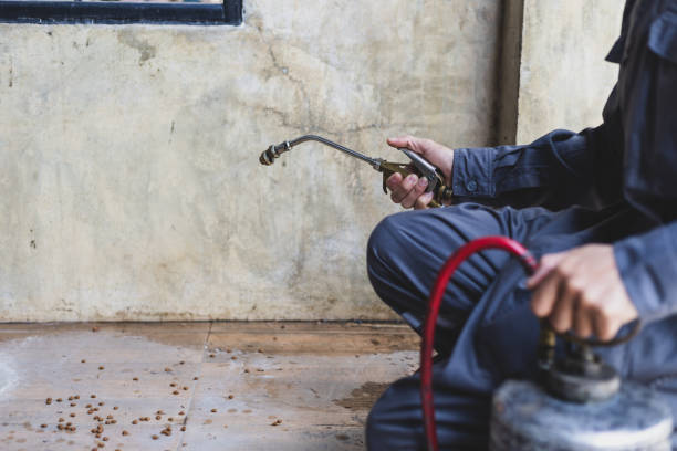 Best Mosquito Control Services  in Finneytown, OH